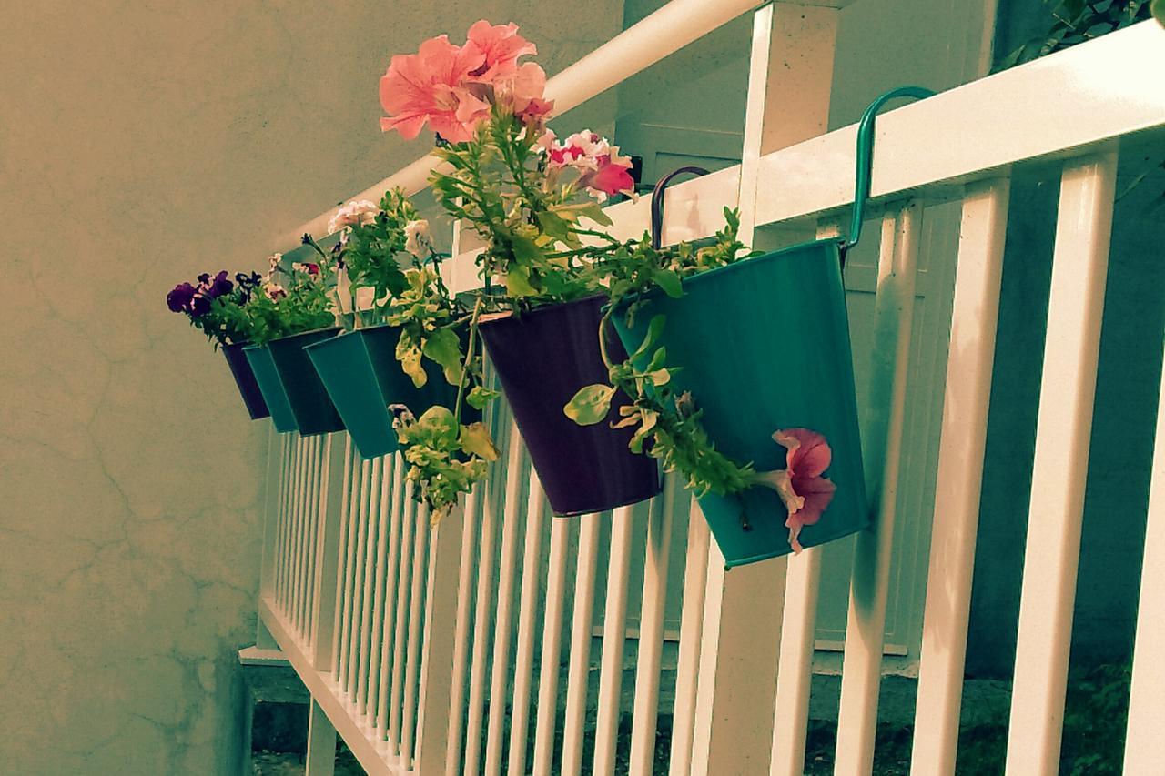 فندق Pansion Ponte موستار المظهر الخارجي الصورة